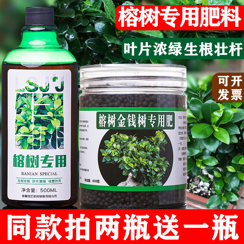 榕树肥料专用肥小叶榕肥料人参榕营养液复合肥有机颗粒缓释肥