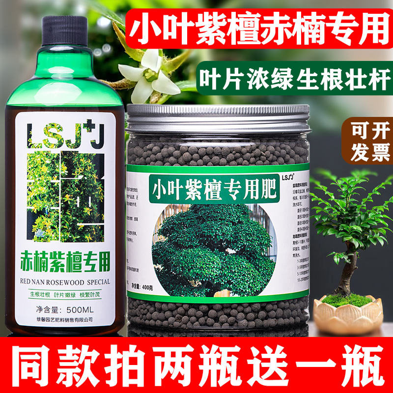 赤楠小叶紫檀有机肥料营养液盆景