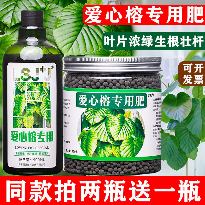 爱心榕盆栽肥料老桩植物大叶爱心榕专用肥营养液高山榕复合有机肥