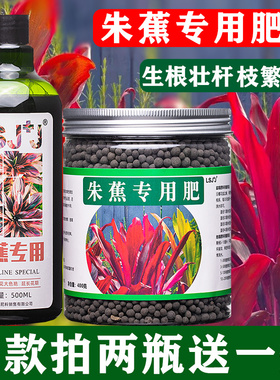 朱蕉肥料红叶朱蕉朱竹专用肥料营养液家用室内阳台盆栽植物有机肥