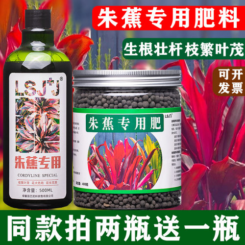 朱蕉生根壮杆专用肥料营养液
