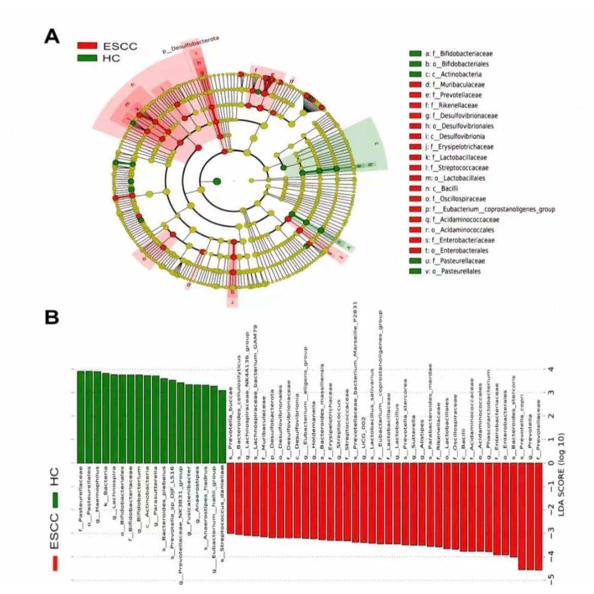 生信分析医学文章GEO单细胞测序TCGA蛋白代谢转录组gwas网MR