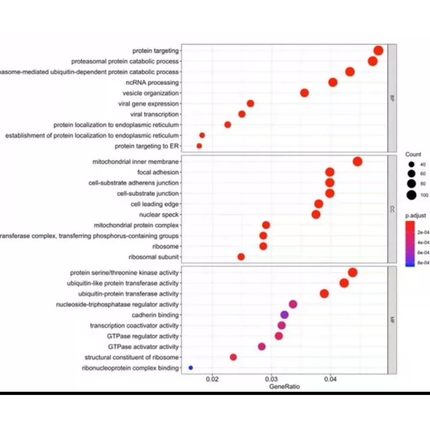 R语言代做 R shiny数据分析R代做 复杂网络 R code  igraph R作图