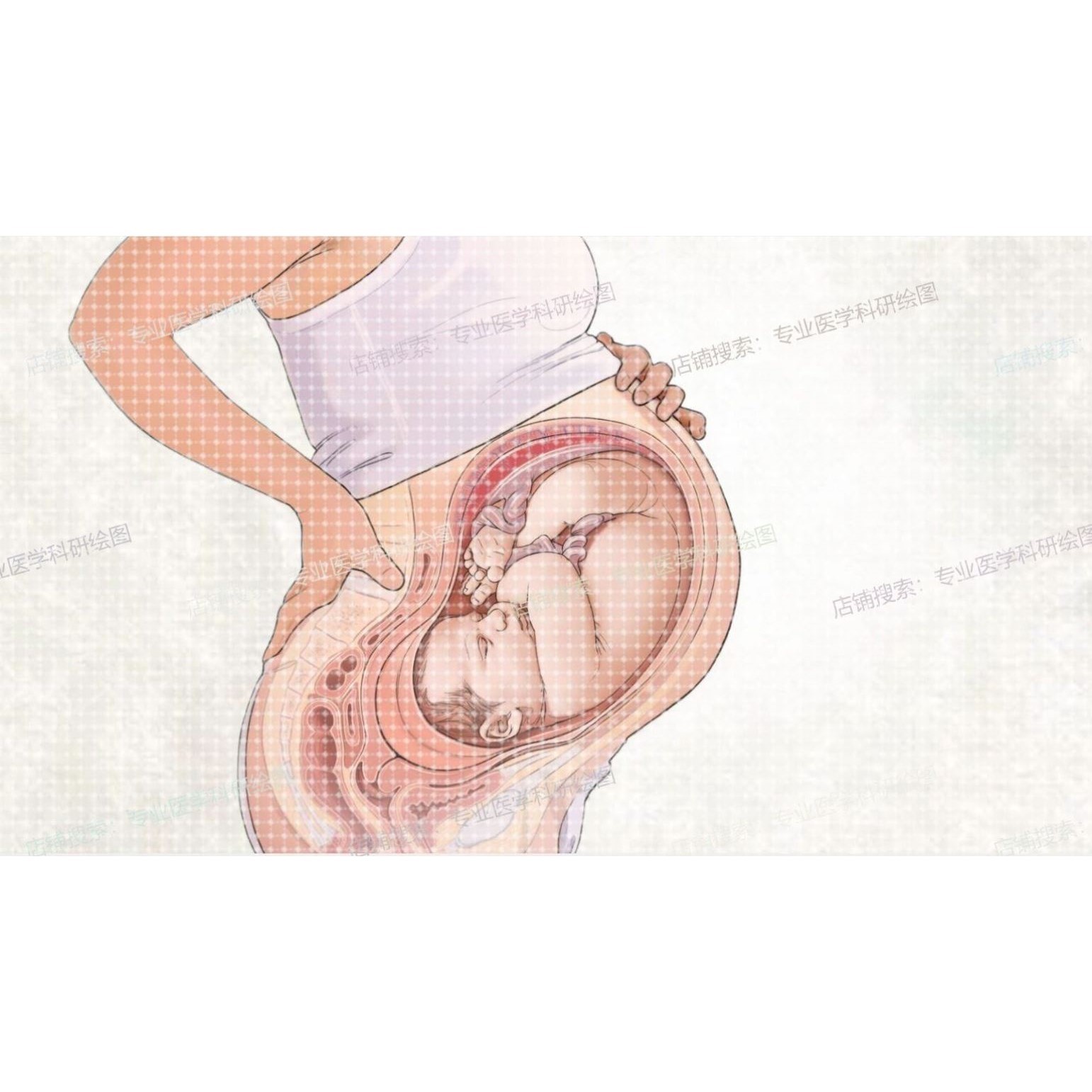 专业医学科研绘图2D3D基金SCI科普手术封面(北医博士团队保障)