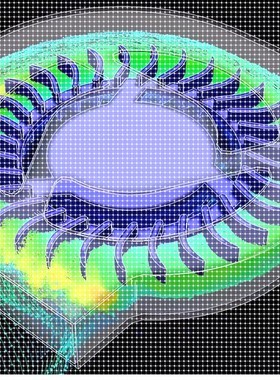 fluent可压缩流体多相流VOF MIXTURE 冲蚀磨损DPM彷真分析帮代做