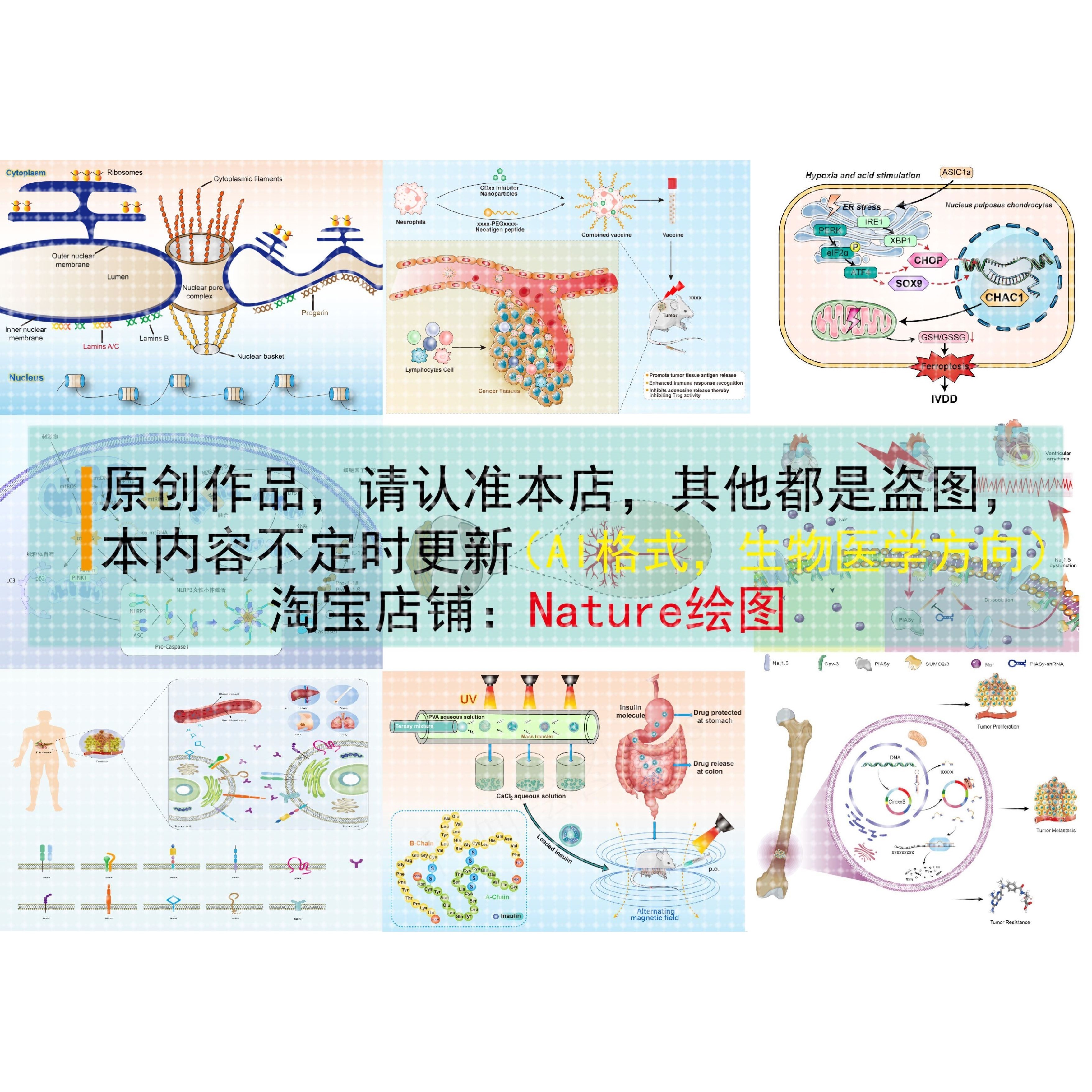 SCI科研绘图素材AI素材生物医学代画学习素材医学绘图AI模板