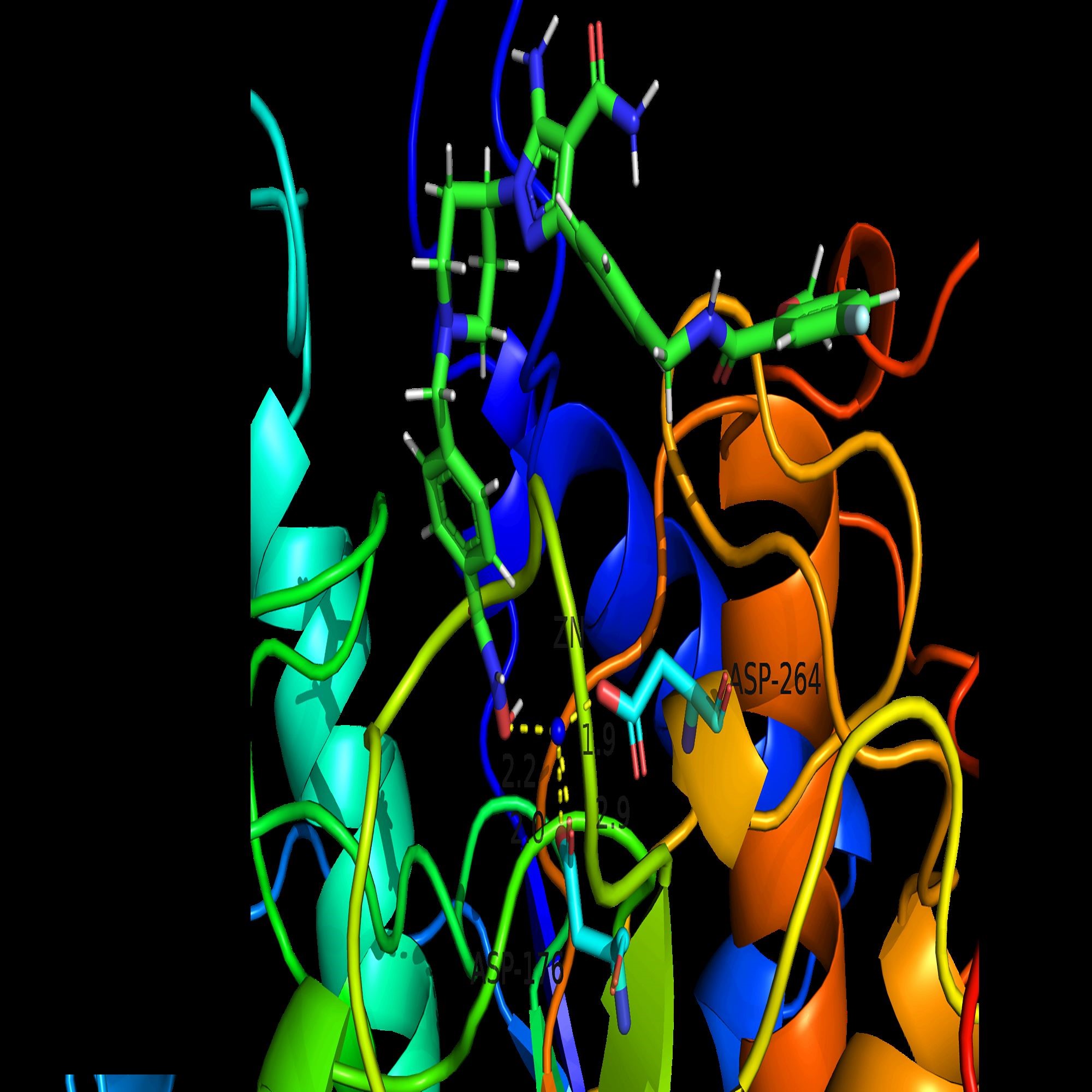 分子对接虚拟筛选物设计网络理学动力学糖基化修饰/磷酸化