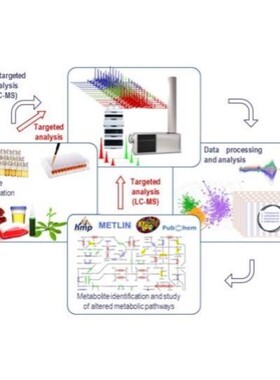 LCMS检测 液相色谱质谱分析检测 代谢组学 脂质组学 蛋白组学
