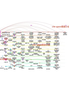 Citespace高级版作图/可视化代做/可视化分析