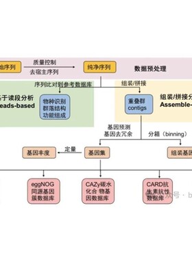 宏基因组数据分析/物种注释/组装拼接/基因预测/binning分箱/MAGs