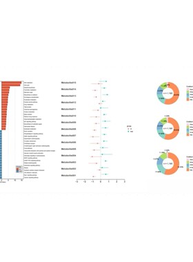 R语言SCI绘图Rstudio科研生信医学桑基热柱图数据分析箱线偏差