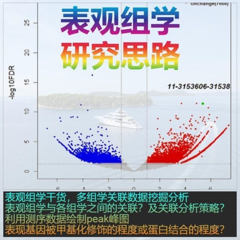 表观测序组学甲基化测序数据分析挖掘二代R语言绘图多组学 课程集