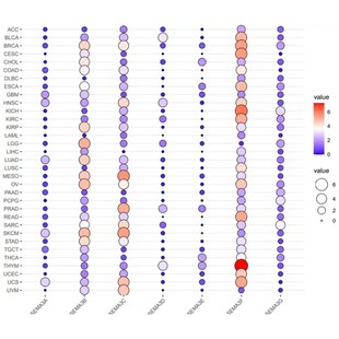 医学数据统计cox生存分析ROC曲线森林图柱状图R语言科研绘图 代做