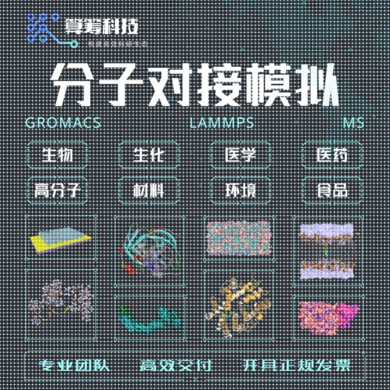 代算 分子对接模拟 Gromacs lammps amber 分子动力学模拟 MD MC