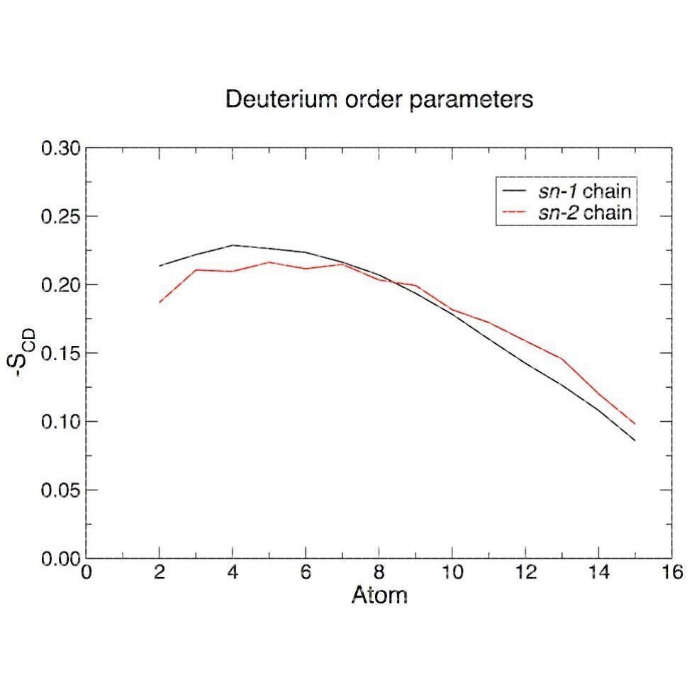 膜蛋白的分子动力学模拟蛋白模型构建分子对接基因家族