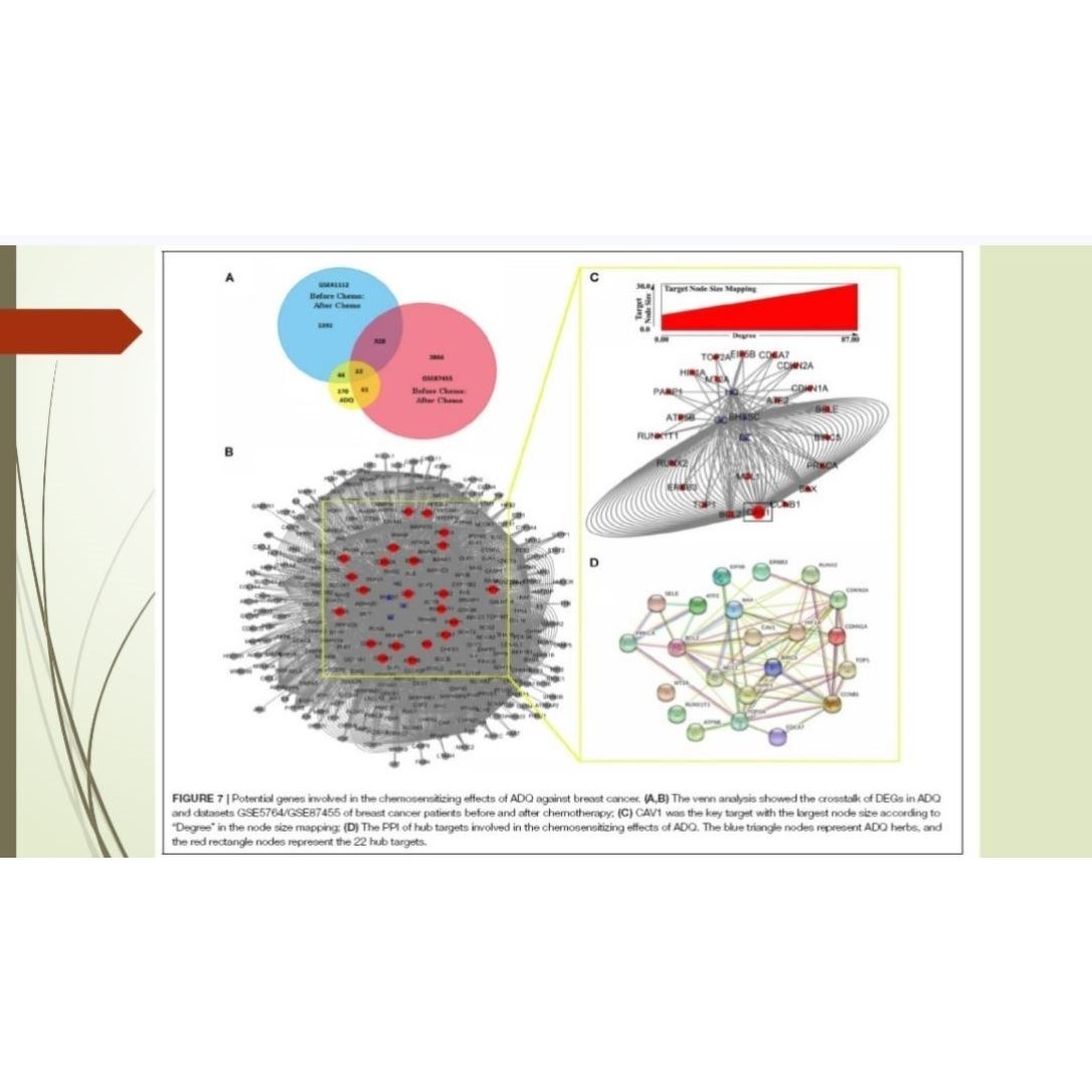R语言代码Rstudio绘图服务SCI科研生信医学桑基热图数据分析作图