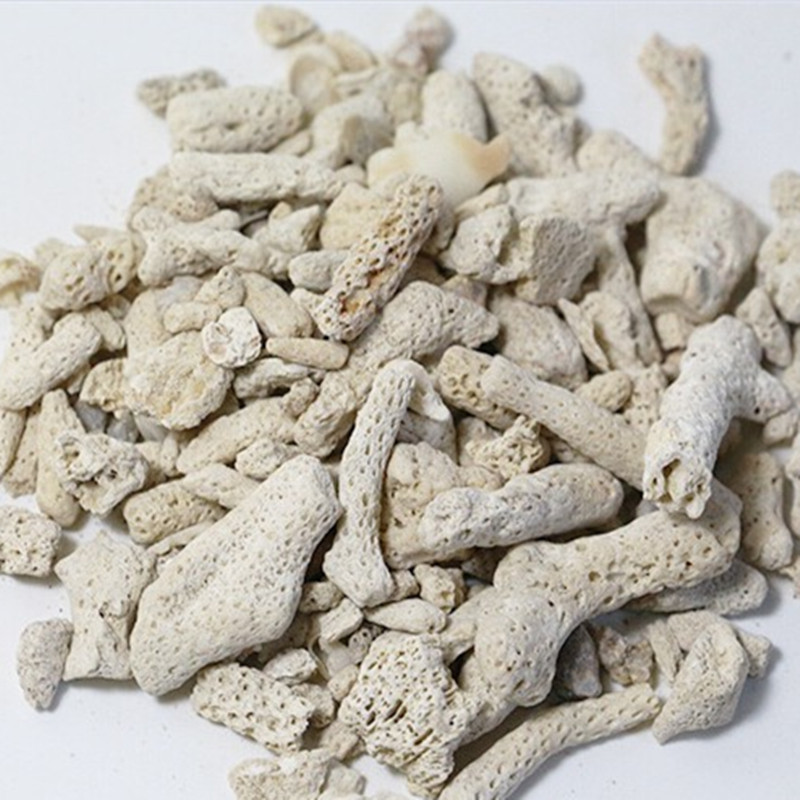 珊瑚沙 珊瑚石 底砂碎珊瑚砂 鱼缸滤材 珊瑚骨水族过滤材料