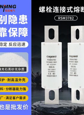 DC1000V充电桩熔断器RSM3782汽车熔断器(RS309,FWH100A,HEV)400A