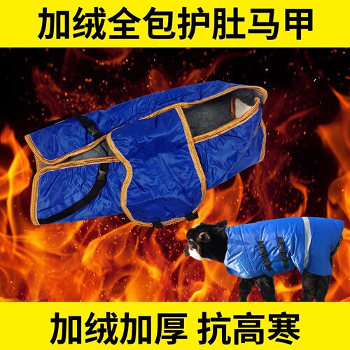 犊牛马甲加厚牛马甲 小牛加厚防寒马甲 养牛场牛犊子保暖防水棉衣