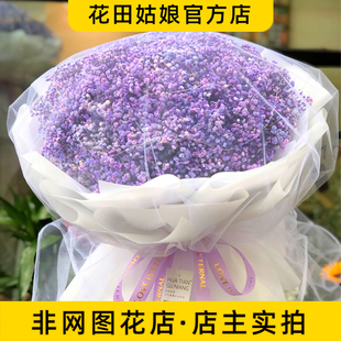 【开州花田姑娘鲜花店】 永生满天星紫色 蓝色 特大束花束
