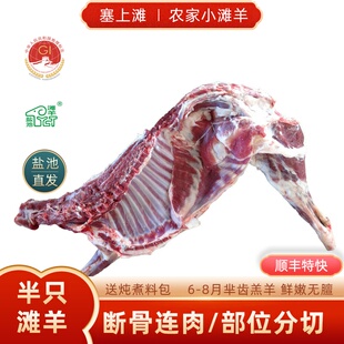 盐池滩羊肉宁夏16斤/18斤生鲜羊肉半只羊烤全羊整只新鲜原切半羊