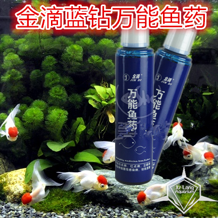 金滴蓝钻大万鱼药600ml 鱼缸 水族箱 淡水 观光鱼 鱼药水