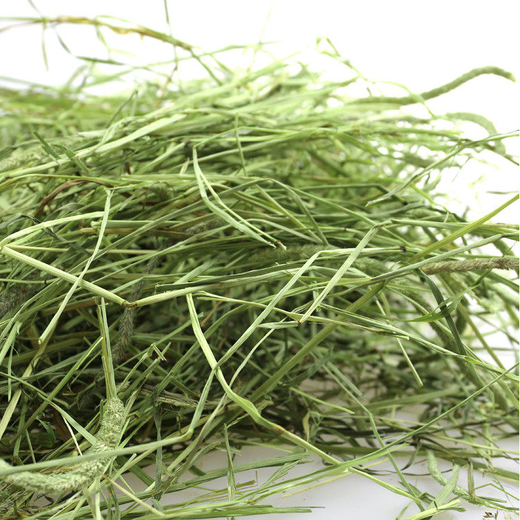 兔棒棒提摩西草龙猫豚鼠兔子高纤维干草调理肠胃优质嫩绿牧草450g