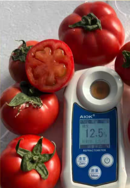 F1 抗TY牧心番茄种子5粒4.9元爆浆酸甜满28元包邮。