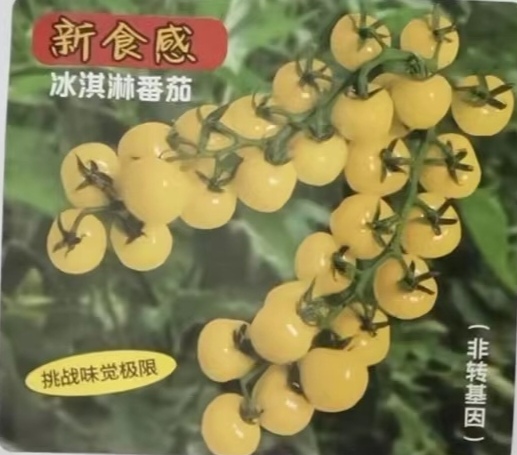 F1 花之大和日本黄冰淇淋番茄种子3粒24元原皮薄亮度高满28元包邮
