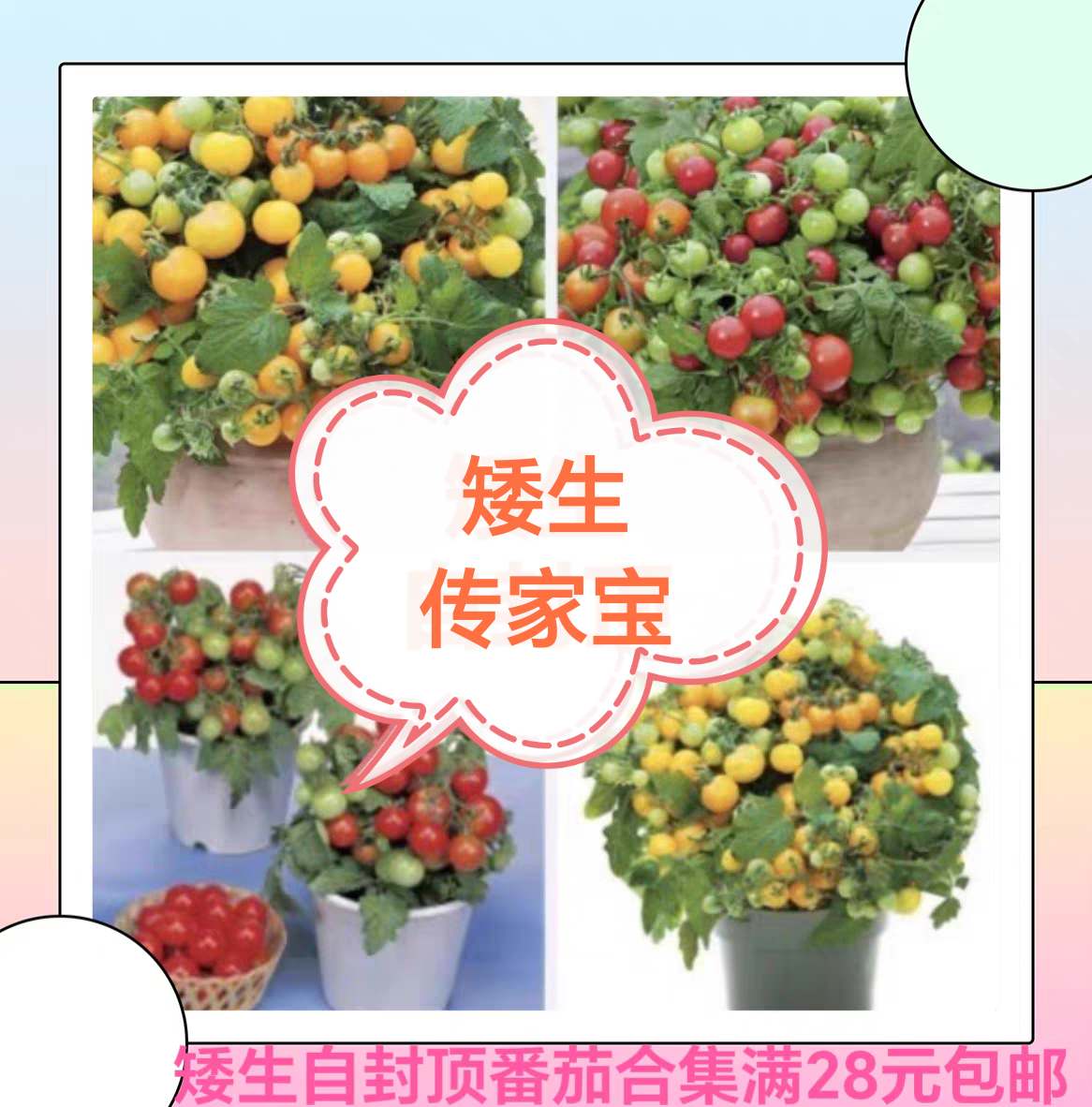 要催芽矮生自封顶传家宝合集棉花糖小鸡兔子跳羞涩墨点桃蛋肥蛙