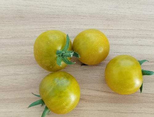 矮生小番茄种子肥蛙4粒5元皮薄甜糯株高20一30厘米28元包邮