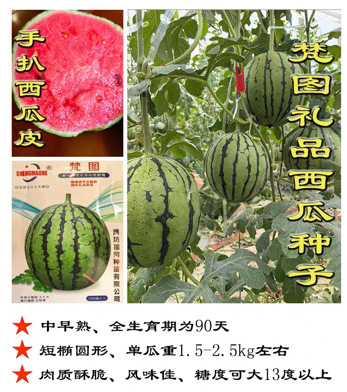 F1梵图西瓜种子5粒4.9元硬薄皮干沙瓤圆形礼品西瓜耐运输28元包邮