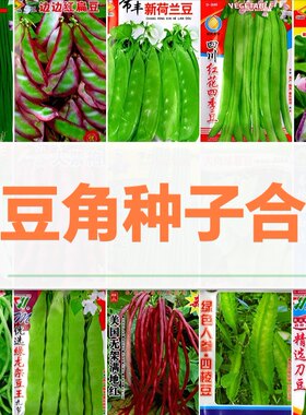 东北油豆角种子合集黄金钩一点红大马掌后弯腰九粒白荷兰豆眉豆