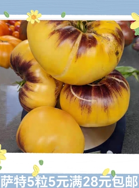 传家宝番茄萨特Sart Roloise （萨特罗洛伊斯）5粒5元28元包邮