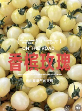 F1抗TY香槟玫瑰乳白色小番茄种子3粒6元软糯香甜满28元包邮