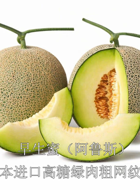 早生蜜阿鲁斯网纹甜瓜籽5粒6元满28元包邮