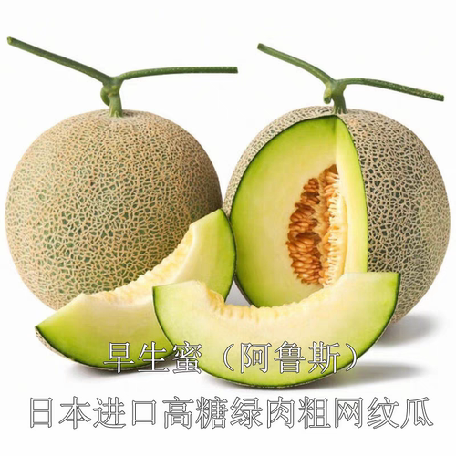 早生蜜阿鲁斯网纹甜瓜籽5粒6元满28元包邮