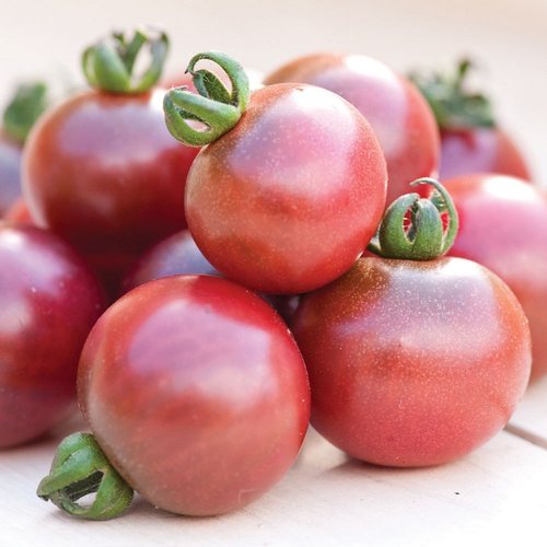 多花型传家宝番茄种子玫瑰鹦鹉（罗塞拉)rosella10粒8元28元包邮