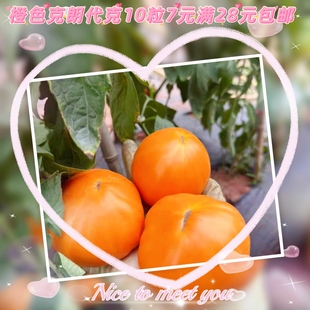 矮化型传家宝番茄种子橙色克朗代克 5粒5元味甜沙瓤28元包邮