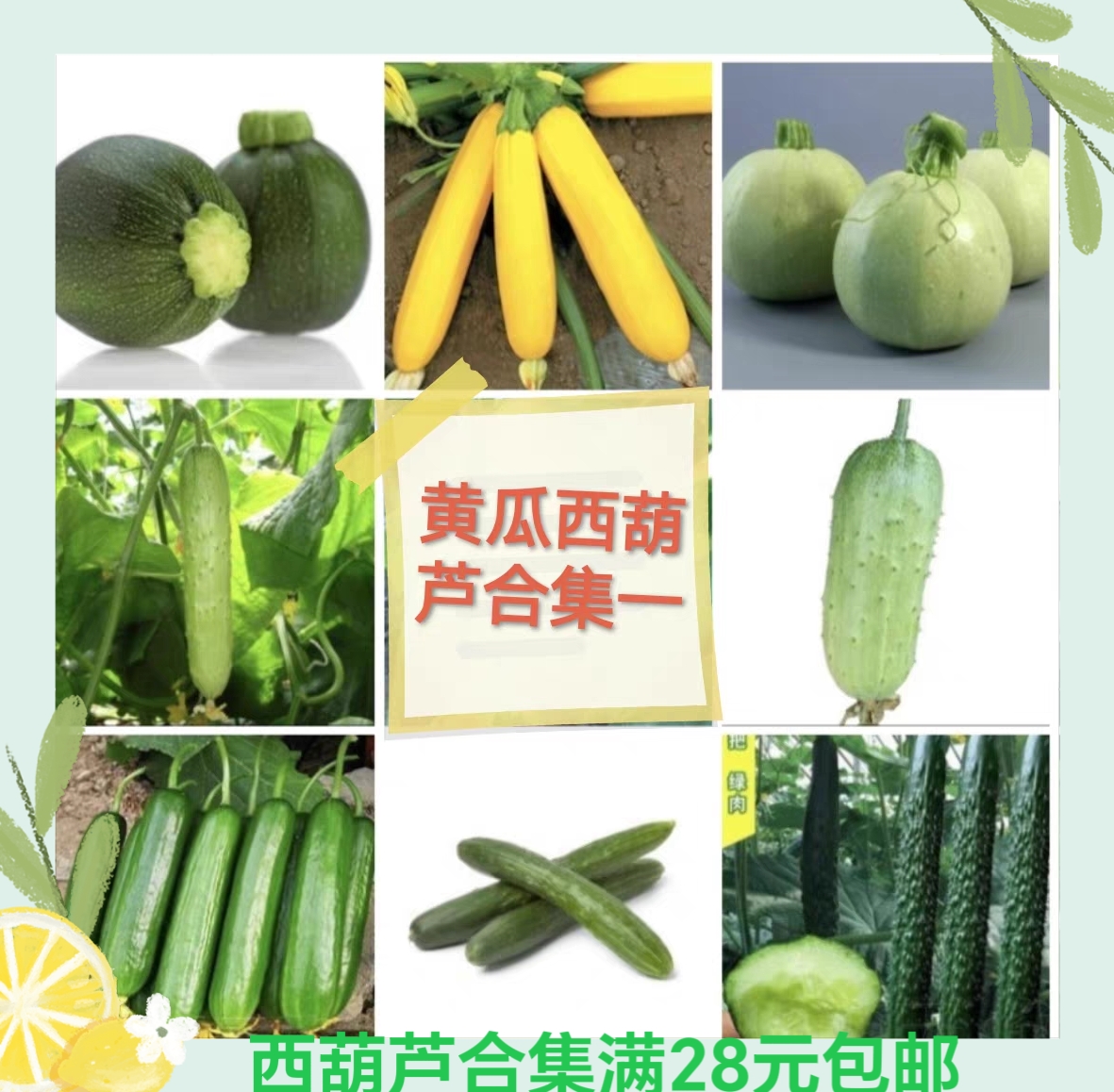 黄瓜合集一休金童中农脆玉3号首尔玉脆压趴架津研四号斯托克