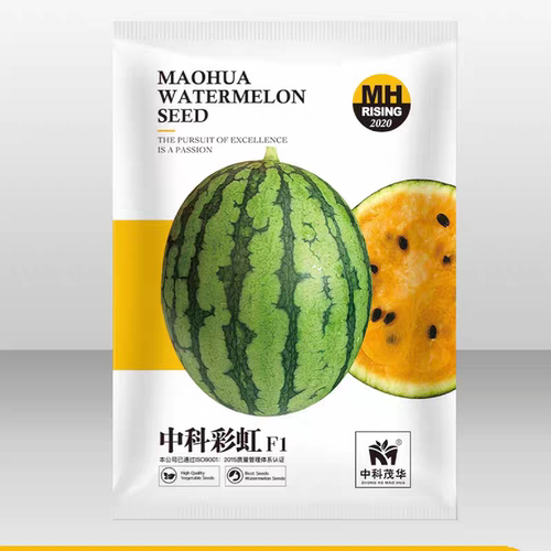 F1中科彩虹瓜西瓜种子5粒4.3元礼品西瓜橙黄瓤橘肉皮薄冰淇淋口感