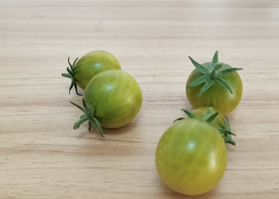 矮生番茄种子圣诞怪杰DWARFThe Grinch4粒5元满28元包邮