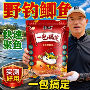 天元邓刚一包搞定钓鱼饵料第一名钓鲫鱼鲤鱼草鱼鱼野钓通杀饵专用