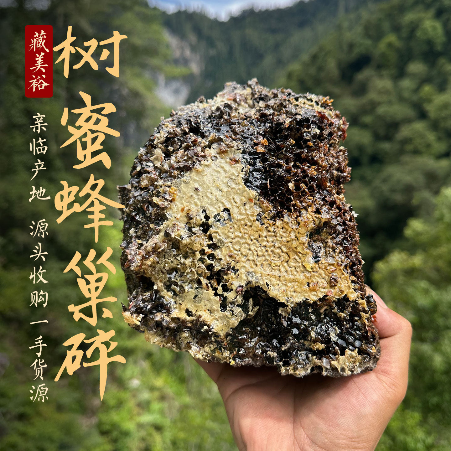 藏美裕 野生树洞蜜蜂巢碎渣 平均3年以上老蜂巢渣可泡酒泡水500克