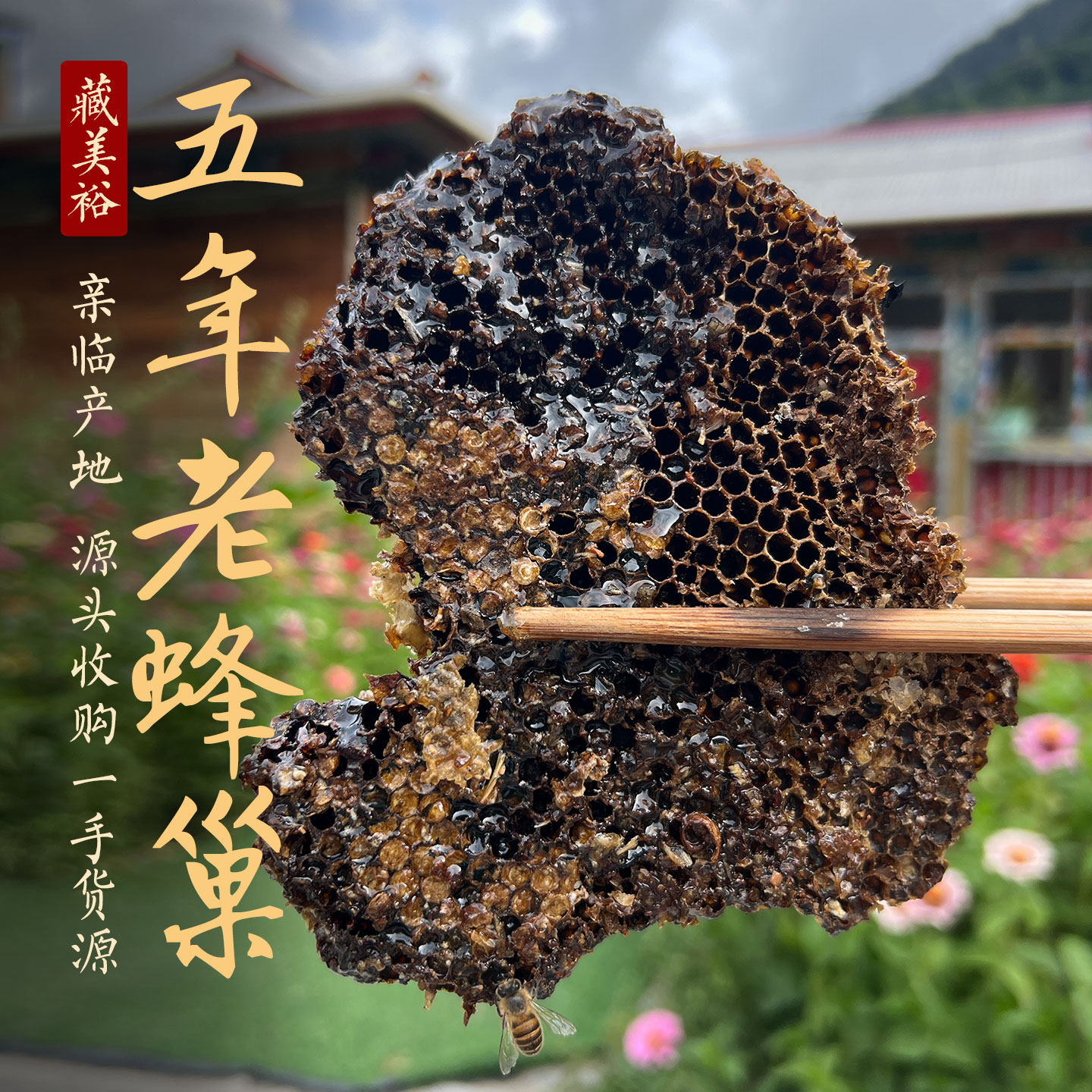 藏美裕 野生树洞蜜老蜂巢5年以上老巢纯黑完整泡蜂巢酒佳品500克