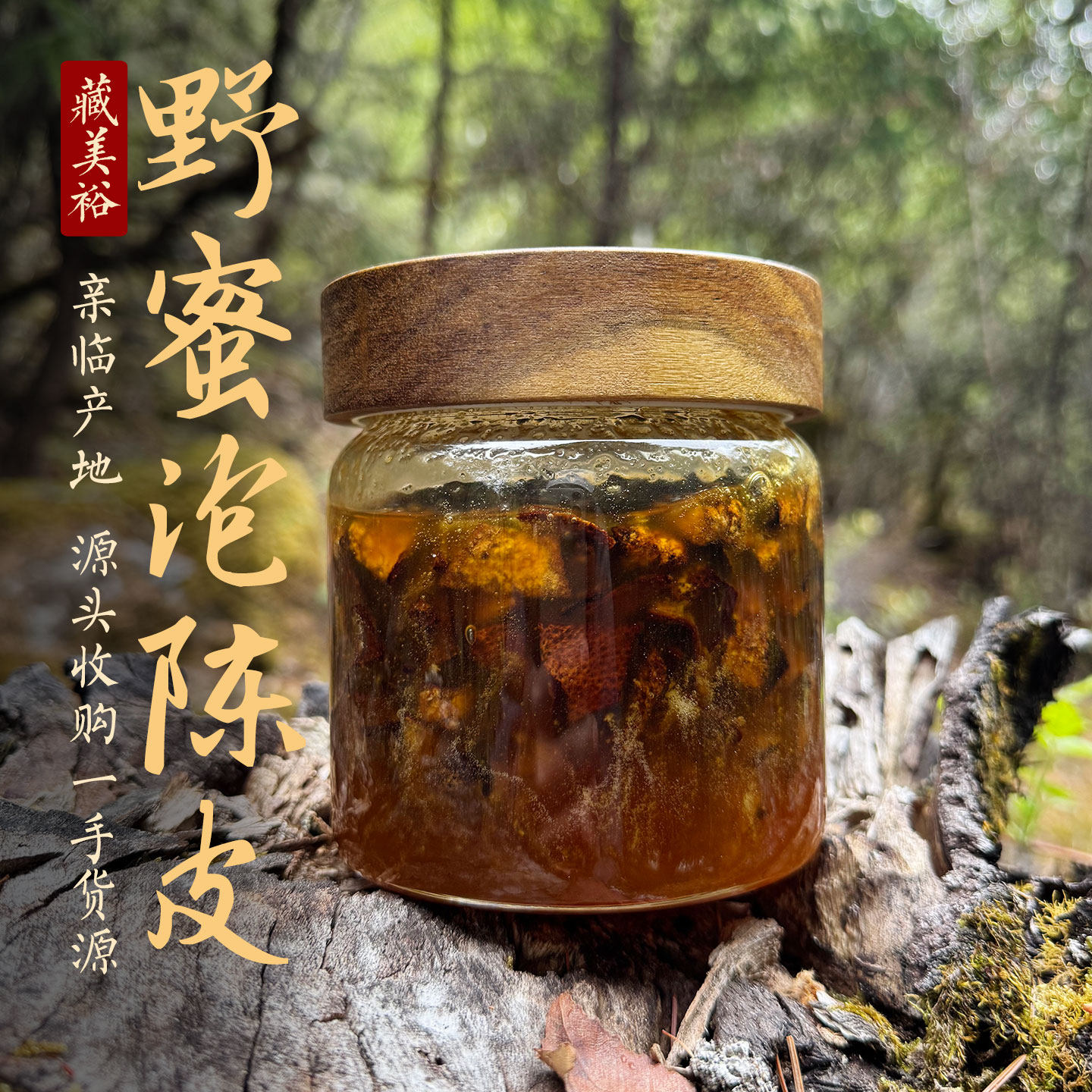 藏美裕 西藏林芝野生树洞蜜悬崖蜜泡梅江核心产区9年老陈皮蜜