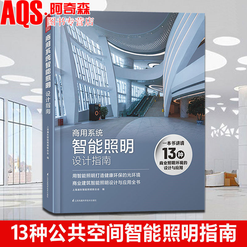 商用系统智能照明设计指南 工装照明设计应用指导手册 酒店商场办公楼餐厅学校医院博物馆美术馆体育馆工业 照明设计书籍
