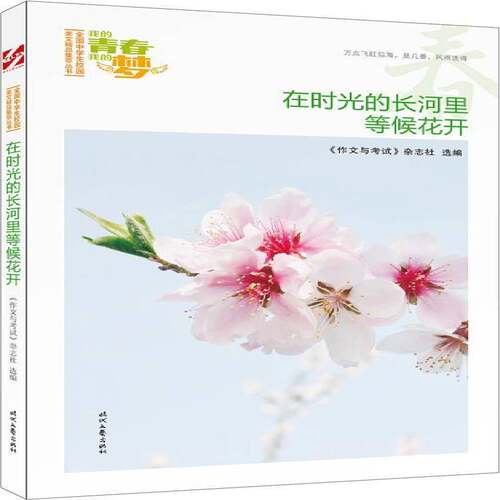 RT69包邮 在时光的长河里等候花开时代文艺出版社中小学教辅图书书籍