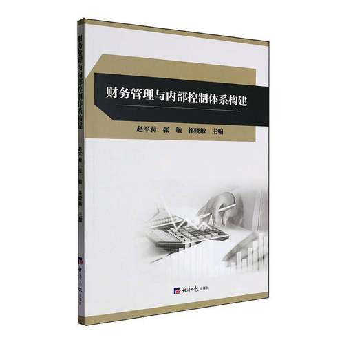 RT69包邮 财务管理与内部控制体系构建经济社管理图书书籍