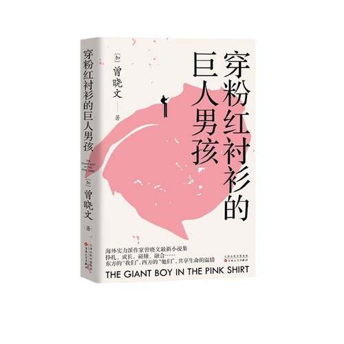RT69包邮 穿粉红衬衫的巨人男孩百花文艺出版社小说图书书籍